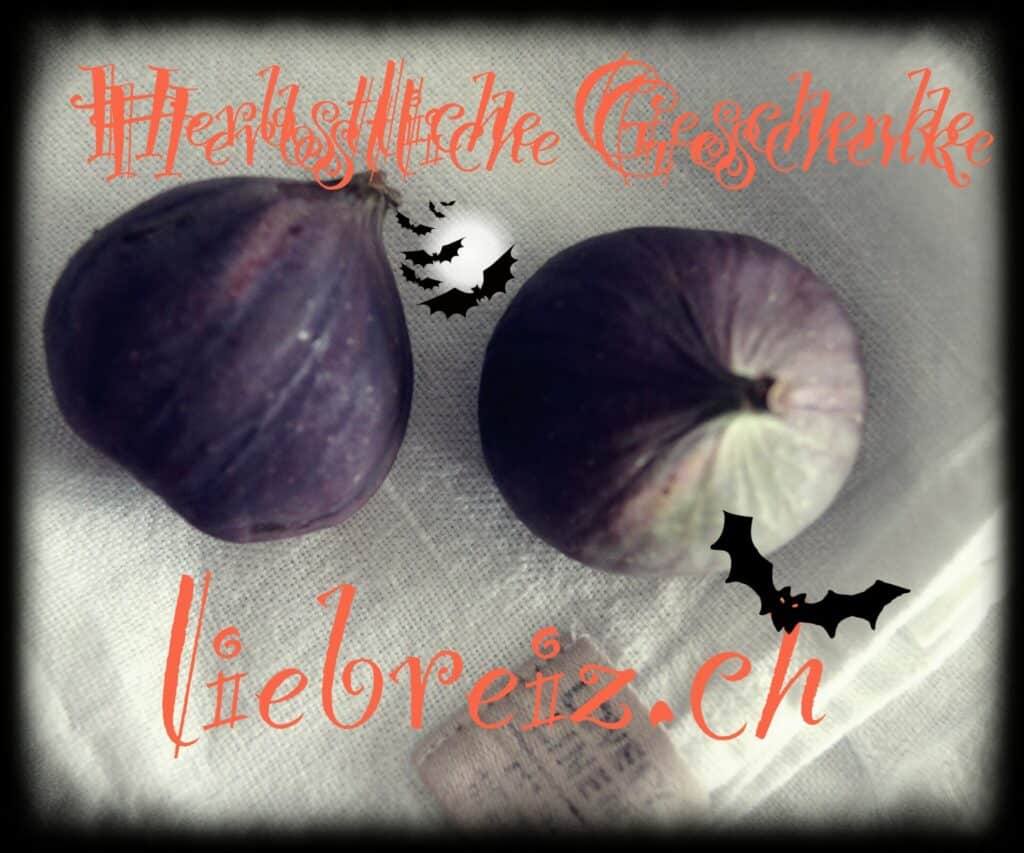 Geschenke zu jeder Jahreszeit