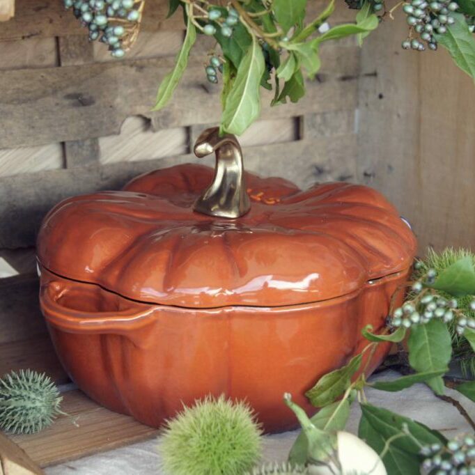 Kürbis Cocotte Staub Zimt gross für Gourmets das Geschenk zu Weihnachten
