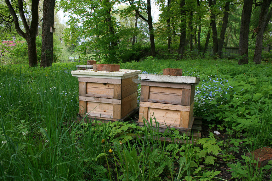 In wunderbarer Natur, fernab von der stressigen Zivilisation wird dieser Honig produziert. Man schmeckt es nicht nur, wir sind auch begeistert von der schönen Verpackung: So sind Liebreiz-Produkte - fair, gesund und schön!